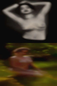 Clean shaved sex ads not Vanilla.
